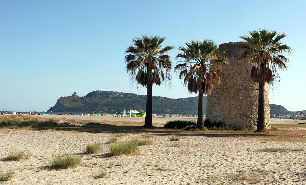 Del Fiore Cagliari
